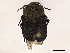  ( - BIOUG50175-B02)  @11 [ ] CreativeCommons - Attribution (2021) CBG Photography Group Centre for Biodiversity Genomics