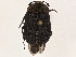  ( - BIOUG50177-C07)  @11 [ ] CreativeCommons - Attribution (2021) CBG Photography Group Centre for Biodiversity Genomics