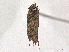  ( - BIOUG48957-G10)  @11 [ ] CreativeCommons - Attribution Share-Alike (2024) CBG Photography Group Centre for Biodiversity Genomics