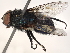  ( - BIOUG50202-D05)  @11 [ ] CreativeCommons - Attribution (2021) CBG Photography Group Centre for Biodiversity Genomics
