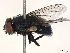  ( - BIOUG50202-F03)  @11 [ ] CreativeCommons - Attribution (2021) CBG Photography Group Centre for Biodiversity Genomics