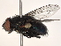  ( - BIOUG51048-E08)  @11 [ ] CreativeCommons - Attribution (2021) CBG Photography Group Centre for Biodiversity Genomics