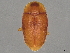  ( - BIOUG50914-C03)  @11 [ ] CreativeCommons - Attribution (2022) CBG Photography Group Centre for Biodiversity Genomics