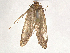  ( - BIOUG49441-D11)  @11 [ ] CreativeCommons - Attribution Share-Alike (2024) CBG Photography Group Centre for Biodiversity Genomics