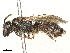  ( - BIOUG48924-E04)  @11 [ ] CreativeCommons - Attribution Share-Alike (2024) CBG Photography Group Centre for Biodiversity Genomics