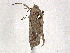  ( - BIOUG49448-H02)  @11 [ ] CreativeCommons - Attribution Share-Alike (2024) CBG Photography Group Centre for Biodiversity Genomics