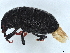  ( - BIOUG50811-E09)  @11 [ ] CreativeCommons - Attribution (2022) CBG Photography Group Centre for Biodiversity Genomics