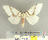  ( - CFIA-LEP0124)  @14 [ ] CreativeCommons - Attribution Share-Alike (2010) Canadian Food Inspection Agency Canadian Food Inspection Agency
