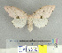  ( - CFIA-LEP0133)  @14 [ ] CreativeCommons - Attribution Share-Alike (2010) Canadian Food Inspection Agency Canadian Food Inspection Agency