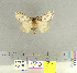  ( - CFIA-LEP0136)  @12 [ ] CreativeCommons - Attribution Share-Alike (2012) Canadian Food Inspection Agency Canadian Food Inspection Agency