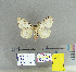  ( - CFIA-LEP0180)  @11 [ ] CreativeCommons - Attribution Share-Alike (2015) Canadian Food Inspection Agency Canadian Food Inspection Agency