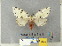  ( - CFIA-LEP0337)  @14 [ ] CreativeCommons - Attribution Share-Alike (2010) Canadian Food Inspection Agency Canadian Food Inspection Agency
