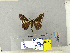  ( - CFIA-LEP0346)  @13 [ ] CreativeCommons - Attribution Share-Alike (2010) Canadian Food Inspection Agency Canadian Food Inspection Agency