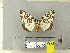  ( - CFIA-LEP0347)  @14 [ ] CreativeCommons - Attribution Share-Alike (2010) Canadian Food Inspection Agency Canadian Food Inspection Agency