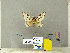  ( - CFIA-LEP0349)  @14 [ ] CreativeCommons - Attribution Share-Alike (2010) Canadian Food Inspection Agency Canadian Food Inspection Agency