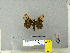  ( - CFIA-LEP0351)  @11 [ ] CreativeCommons - Attribution Share-Alike (2010) Canadian Food Inspection Agency Canadian Food Inspection Agency