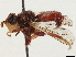  ( - BIOUG48928-G04)  @11 [ ] CreativeCommons - Attribution (2020) CBG Photography Group Centre for Biodiversity Genomics