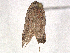  ( - BIOUG49456-E12)  @11 [ ] CreativeCommons - Attribution Share-Alike (2024) CBG Photography Group Centre for Biodiversity Genomics