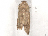 ( - BIOUG49458-C01)  @11 [ ] CreativeCommons - Attribution Share-Alike (2024) CBG Photography Group Centre for Biodiversity Genomics