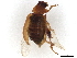  ( - BIOUG51209-A02)  @11 [ ] CreativeCommons - Attribution (2021) CBG Photography Group Centre for Biodiversity Genomics