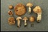  (Cortinarius cf. spisnii - MQ18-CMMF003394)  @11 [ ] CreativeCommons - Attribution Non-Commercial No Derivatives (1999) Université de Montréal Biodiversity Centre Université de Montréal Biodiversity Centre