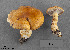  ( - MQ19-YL4157-CMMF020711)  @11 [ ] CreativeCommons - Attribution Non-Commercial No Derivatives (2010) Yves Lamoureux Universite de Montreal, Biodiversity Center