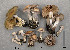  ( - MQ19-YL4338-CMMF020732)  @11 [ ] CreativeCommons - Attribution Non-Commercial No Derivatives (2015) Yves Lamoureux Universite de Montreal, Biodiversity Center