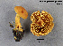  ( - MQ19-YL4376-CMMF020746)  @11 [ ] CreativeCommons - Attribution Non-Commercial No Derivatives (2017) Yves Lamoureux Universite de Montreal, Biodiversity Center