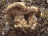  ( - MQ18-HRL378-QFB29901)  @11 [ ] Copyright (2010) Renée Lebeuf Unspecified