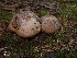  ( - MQ18-HRL378-QFB29901)  @11 [ ] Copyright (2010) Renée Lebeuf Unspecified
