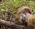  ( - MQ18-HRL378-QFB29901)  @11 [ ] Copyright (2010) Renée Lebeuf Unspecified