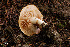  ( - MQ18-HRL604-QFB29909)  @11 [ ] Copyright (2010) Renée Lebeuf Unspecified