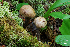  ( - MQ18-HRL696-QFB29854)  @11 [ ] Copyright (2011) Renée Lebeuf Unspecified