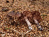  ( - MQ18119)  @11 [ ] Copyright (2011) Renée Lebeuf Unspecified