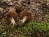  ( - MQ18-HRL1088-QFB29857)  @11 [ ] Copyright (2012) Renée Lebeuf Unspecified