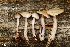  ( - MQ18-HRL1236-QFB29860)  @11 [ ] Copyright (2012) Renée Lebeuf Unspecified