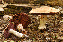  ( - MQ18-HRL1585-QFB29952)  @11 [ ] Copyright (2013) Renée Lebeuf Unspecified