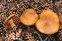  ( - MQ22-QFB33120-HRL3602)  @11 [ ] Copyright (c) (2021) Renee Lebeuf Unspecified