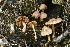  ( - MQ23-HRL3693)  @11 [ ] Copyright © (2022) Renee Lebeuf Unspecified