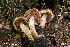  ( - MQ23-HRL3693)  @11 [ ] Copyright © (2022) Renee Lebeuf Unspecified