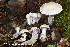 ( - MQ23-HRL4033)  @11 [ ] Copyright © (2022) Renee Lebeuf Unspecified
