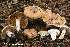 ( - MQ23-HRL4038)  @11 [ ] Copyright © (2022) Renee Lebeuf Unspecified