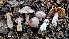  ( - MQ23-HRL4063)  @11 [ ] Copyright © (2022) Renee Lebeuf Unspecified