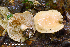  ( - MQ23-HRL4068)  @11 [ ] Copyright © (2022) Renee Lebeuf Unspecified