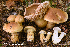  ( - MQ23-HRL4116)  @11 [ ] Copyright © (2022) Renee Lebeuf Unspecified