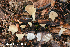  ( - MQ24a-HRL4754)  @11 [ ] (bc-nc) (2024) Renee Lebeuf Unspecified