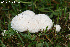  ( - CMMF024838_pat090812-01)  @11 [ ] Copyright (c) (2012) Patrick Poitras Unspecified