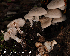  ( - MQ25-HL2106)  @11 [ ] Unspecified (default): All Rights Reserved (2023) Herman Lambert Unspecified