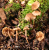  ( - MQ25-HL2131)  @11 [ ] Unspecified (default): All Rights Reserved (2024) Herman Lambert Unspecified