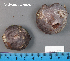  ( - MQ23-HL1937)  @11 [ ] copyright (c) (2022) Herman Lambert Unspecified